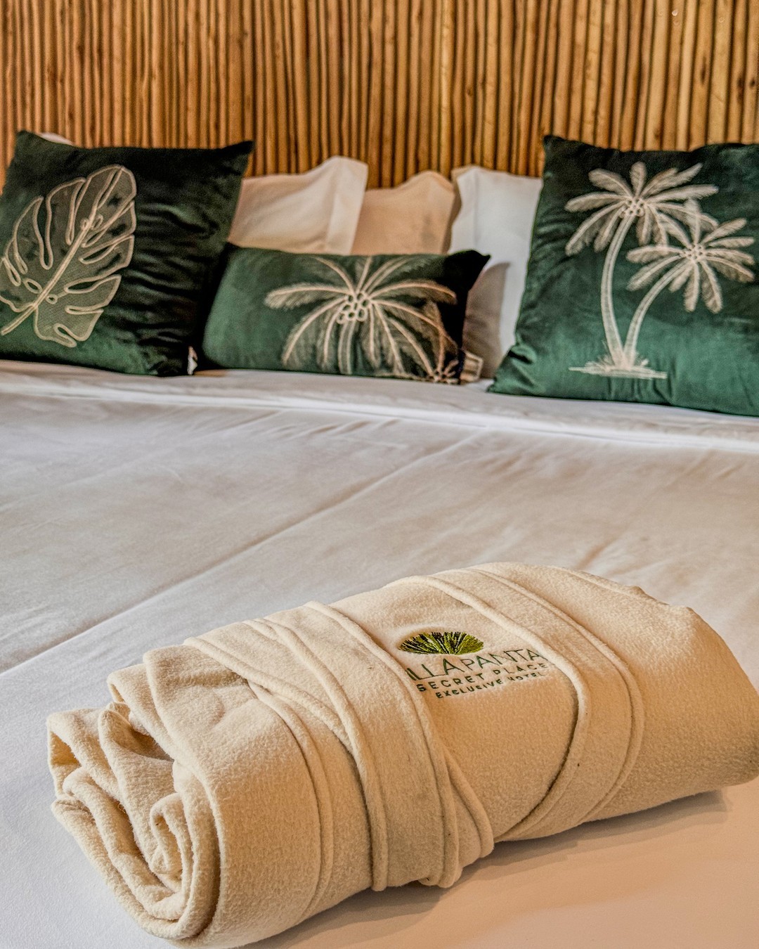 Snapinsta.app_462823221_2516390368571464_4142407967730125101_n_1080