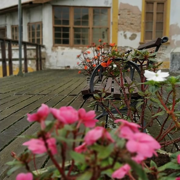 Snapinsta.app_119111428_2671850956416689_8816933923751507286_n_1080